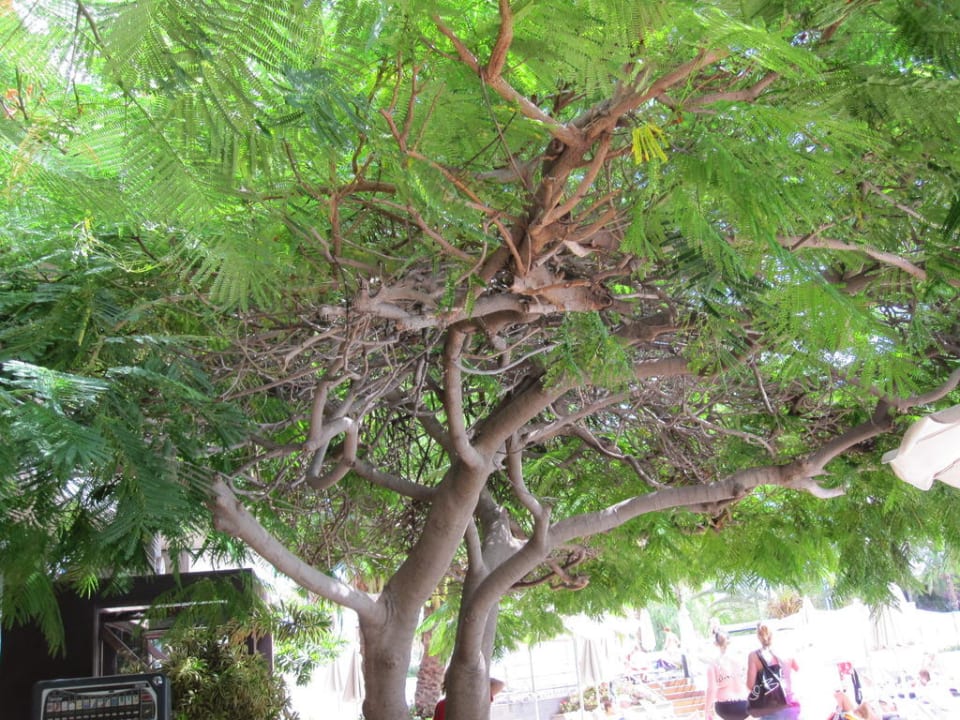 Aussenbereich Bull Escorial & Spa