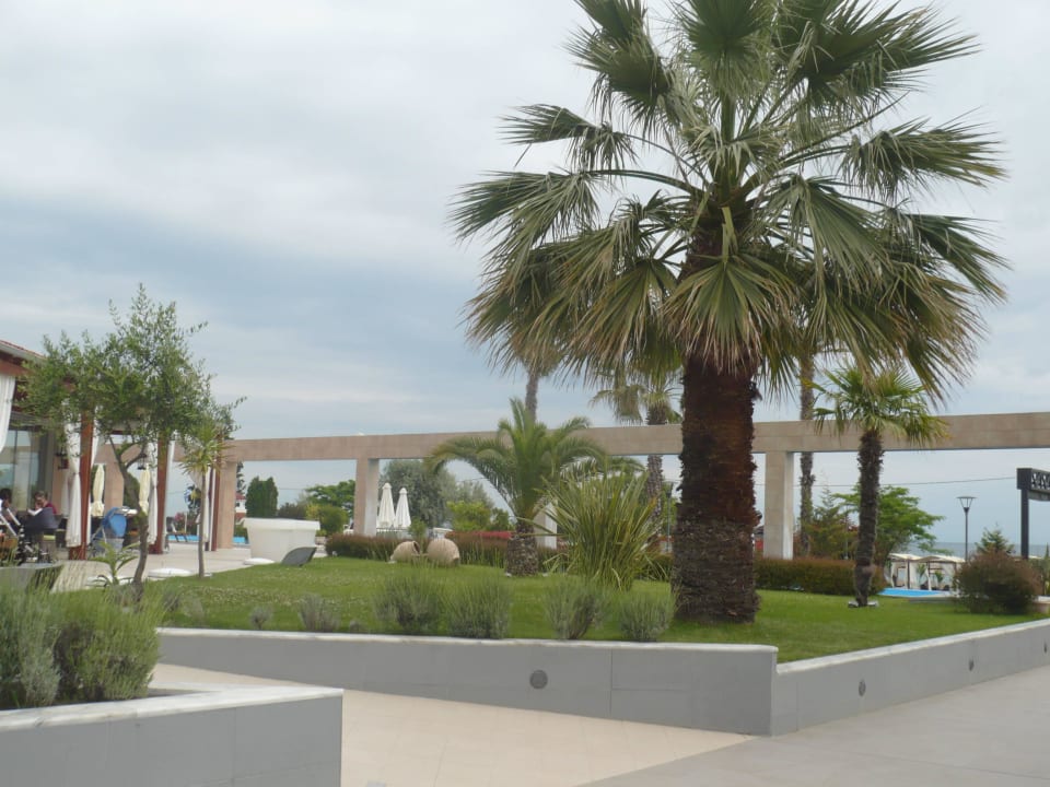 Gepflegter Weg zum Strand alltoura Club Hotel Poseidon Palace