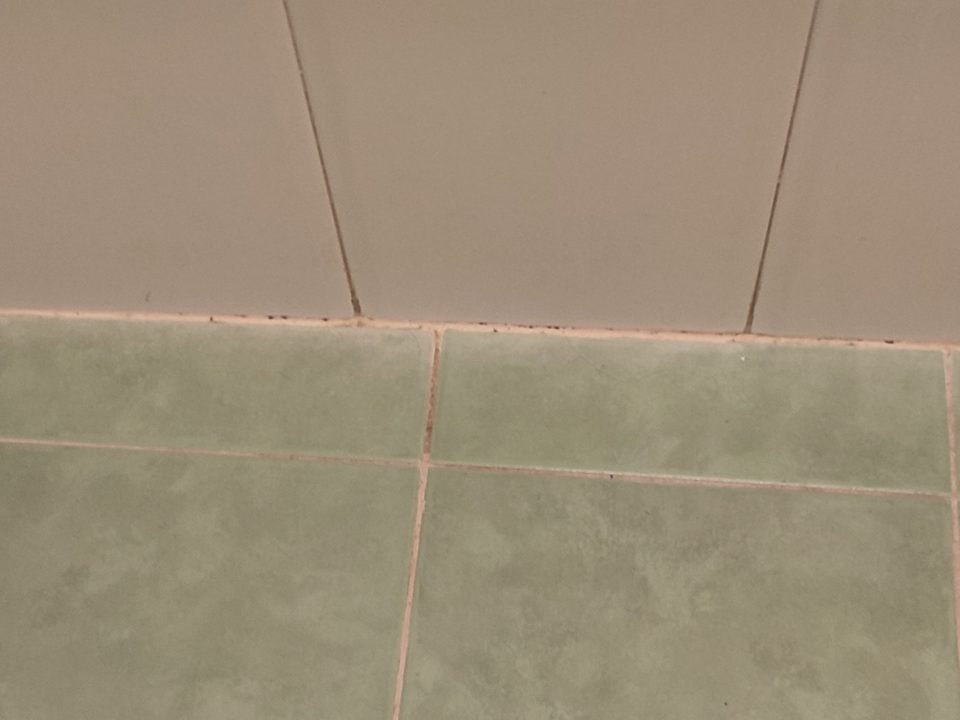 Zimmer Melia Las Antillas - Adults only