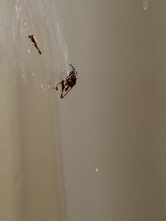 Zimmer Kresten Palace Hotel