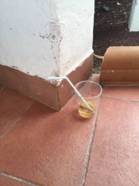 All-in Plastikbecher-Wahnsinn!  Fuerteventura Princess