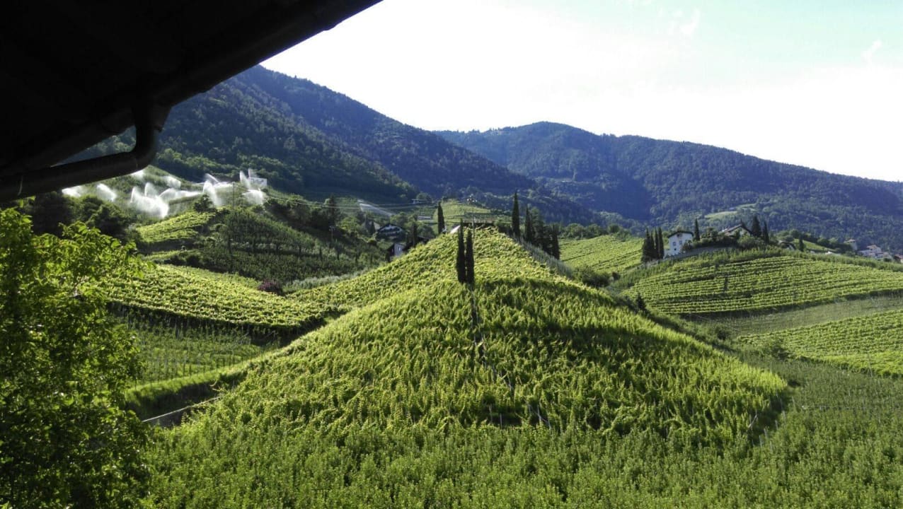 Herrlicher Ausblick ins Grüne Hotel & Appartement Valtnaungut