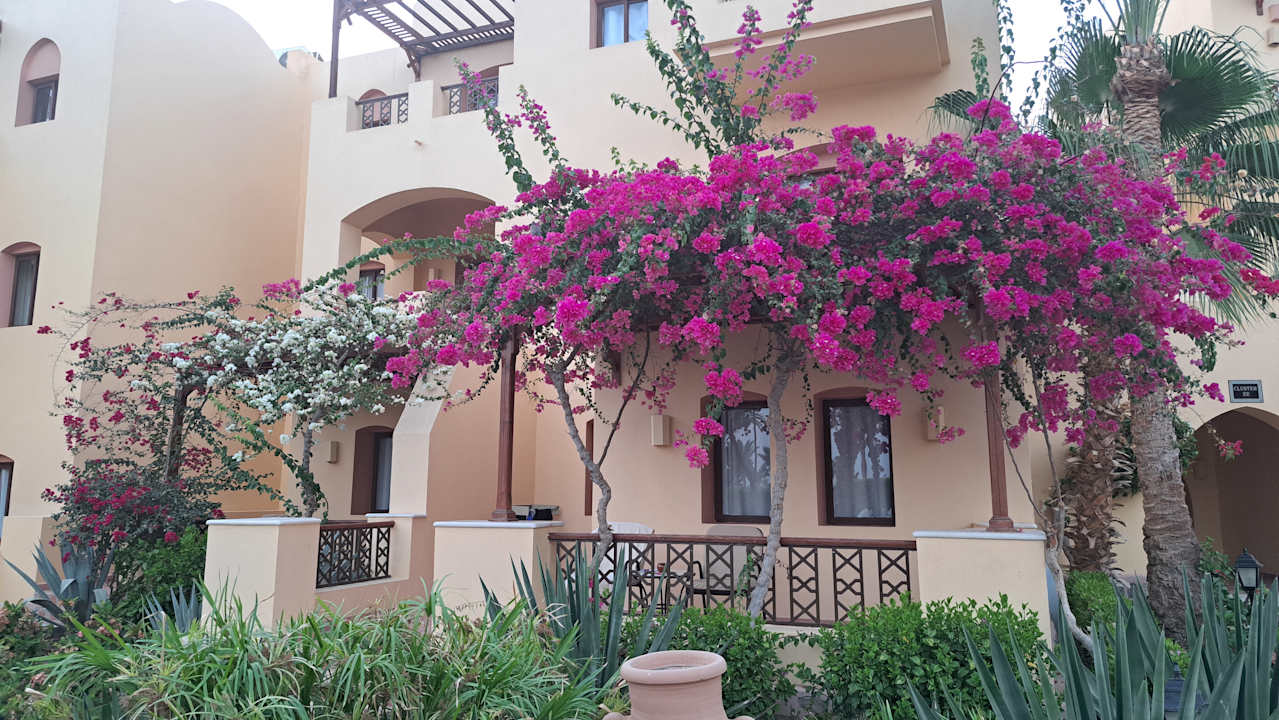 Zimmer Steigenberger Coraya Beach - Adults only