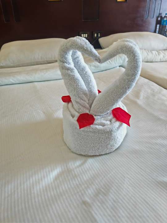 Zimmer Coral Sun Beach