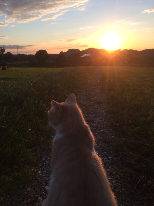 Außenansicht Seimehof