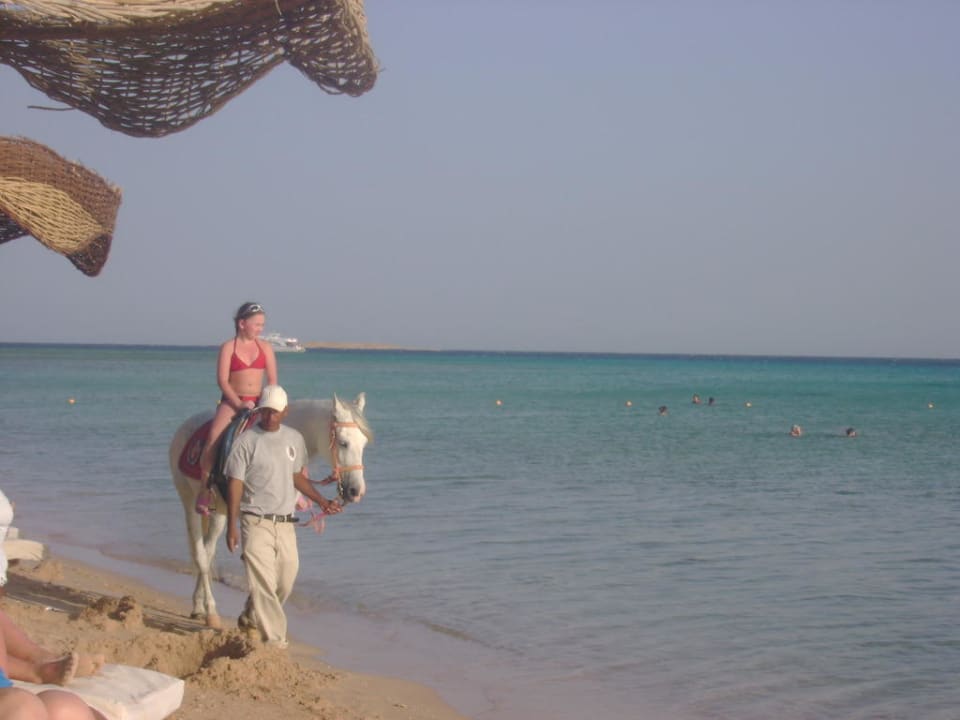 Развлечения Pyramisa Beach Resort Sahl Hasheesh