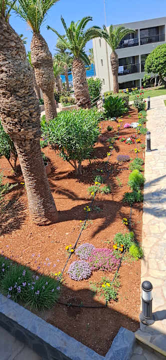 Gartenanlage allsun Hotel Malia Beach