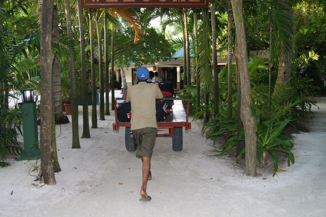 Der Transport des Gepäcks Summer Island Maldives