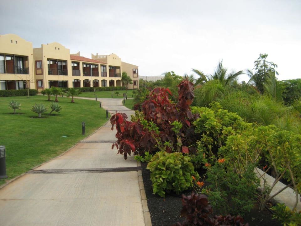 Gartenanlage La Palma Princess