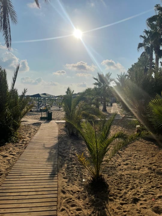 Strand Paloma Oceana