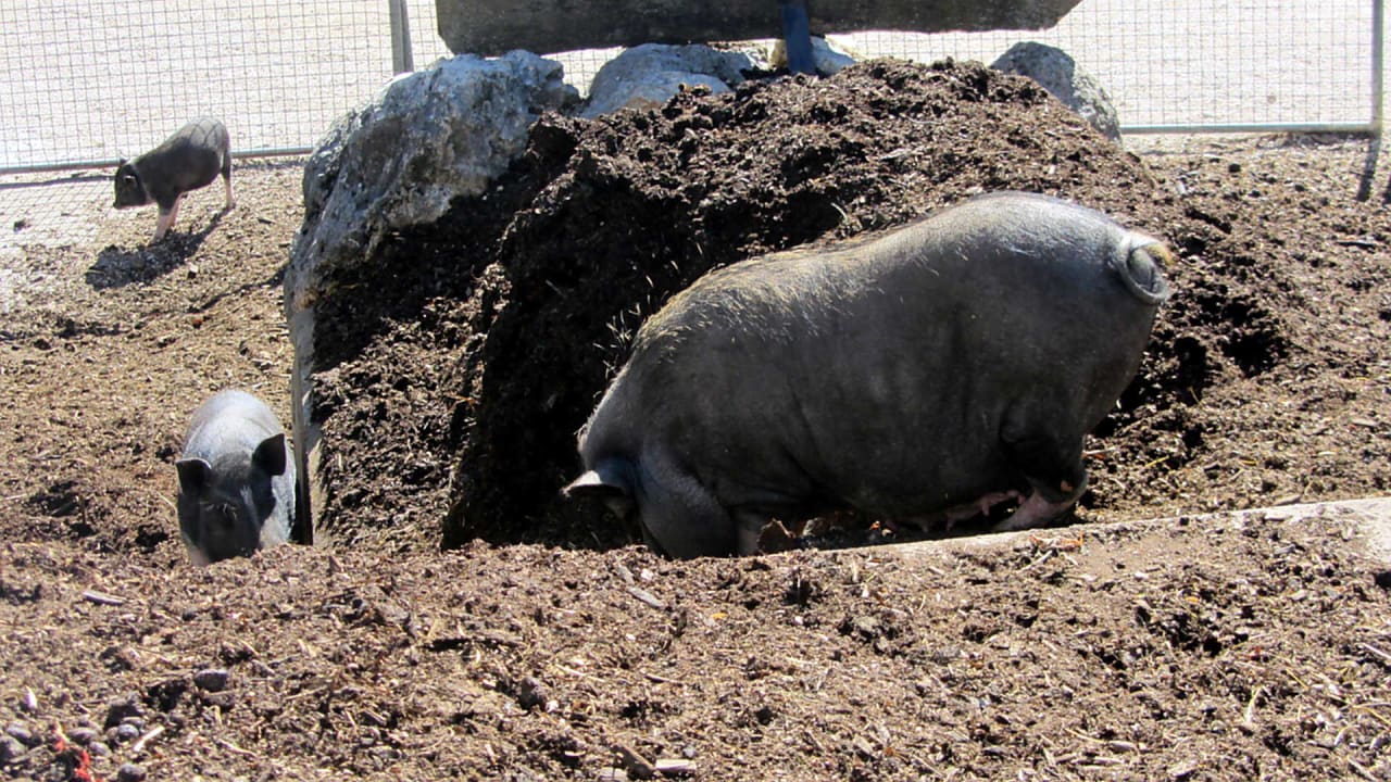 Außenansicht Hotel Lochmühle