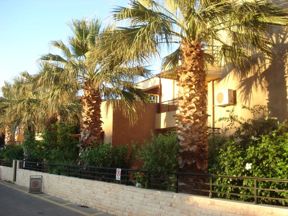 Von der kleinen Stichstraße aus Hotel Latania Apartments