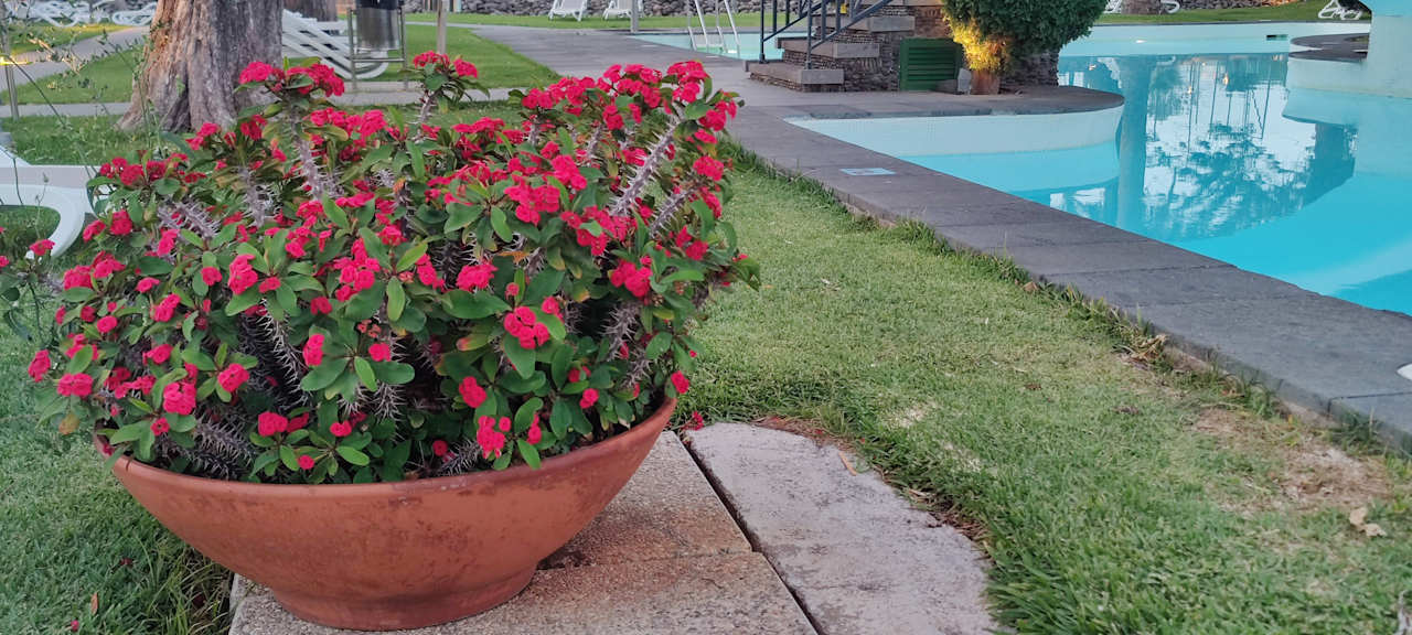Gartenanlage Bungalows Cordial Biarritz