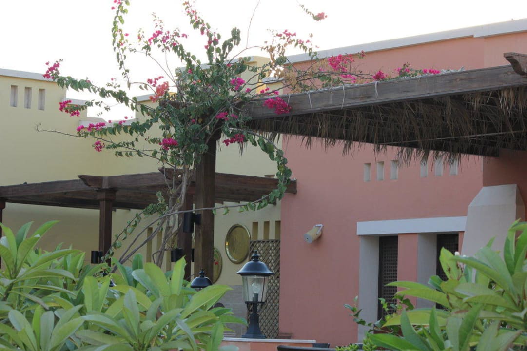 Schön... Jaz Dar EL Madina