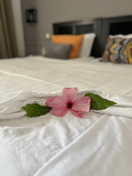 Zimmer Hotel Club Tropicana & Spa