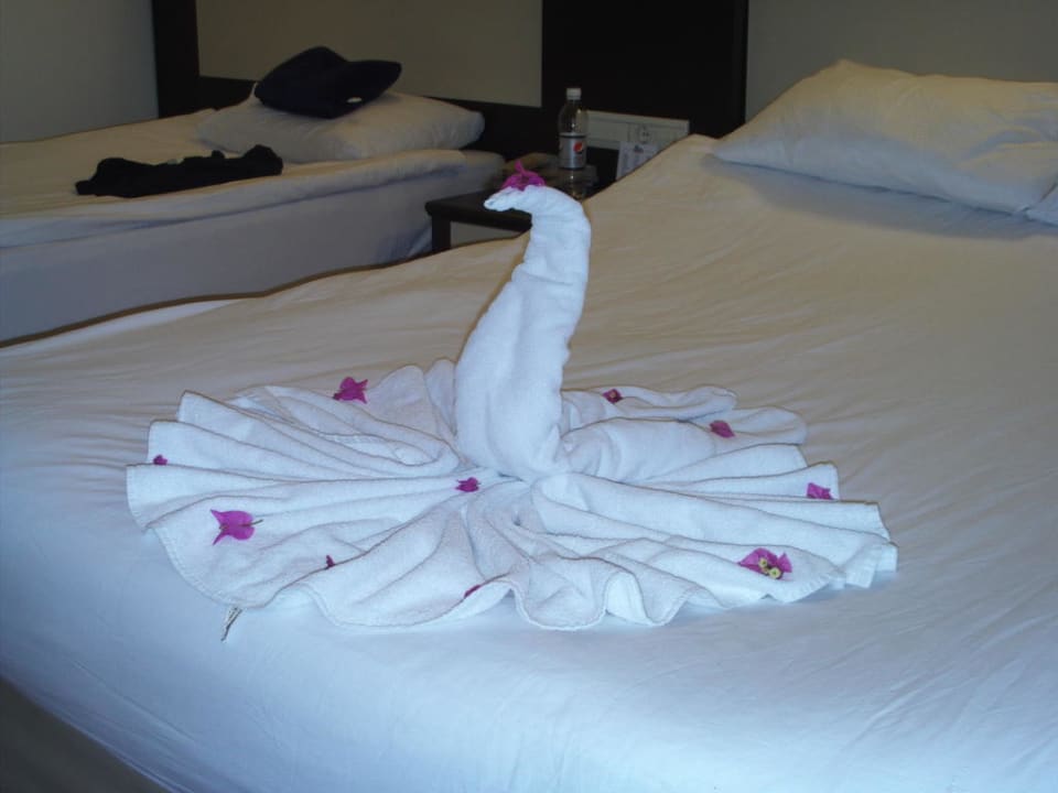 Handtuchschwan Oz Hotels Incekum Beach