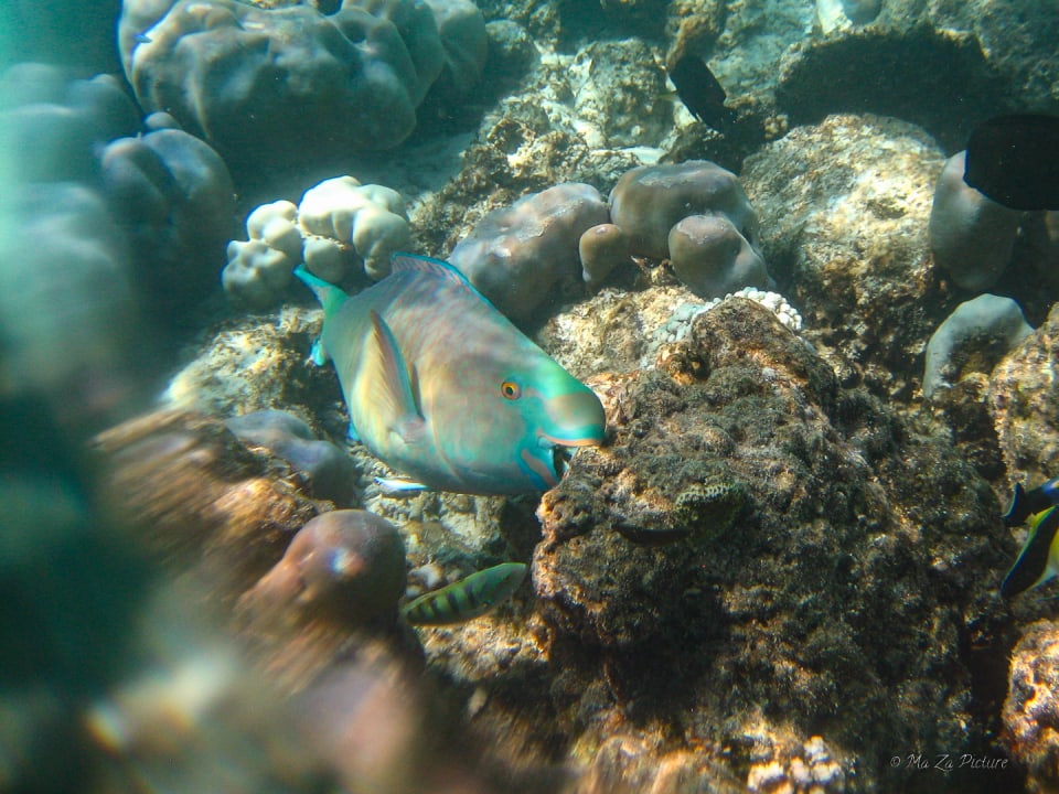 Sport & Freizeit Summer Island Maldives