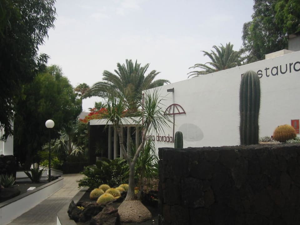 Subiendo de la recepcion Apartamentos Arena Dorada