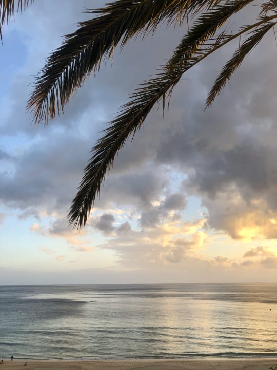 Ausblick Hotel Riu Palace Jandia