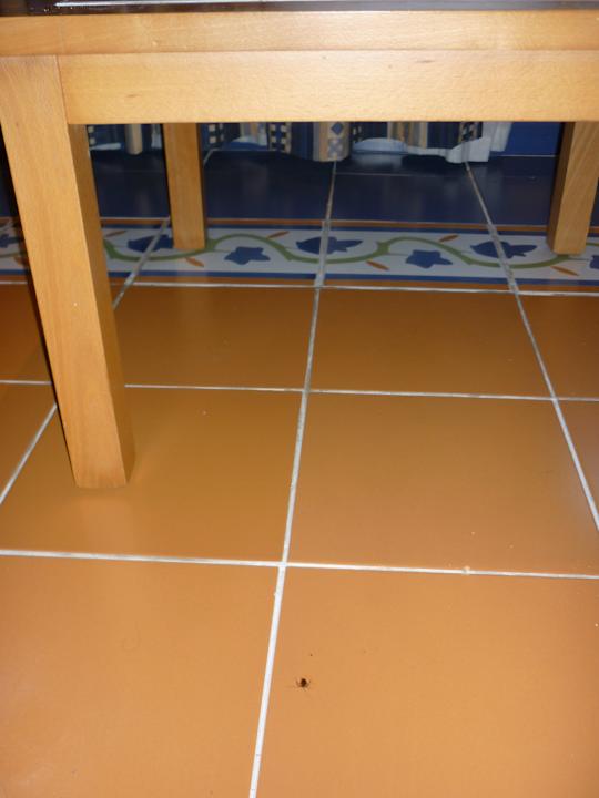 Kakerlake unterm Zimmertisch Memories Miramar Havana