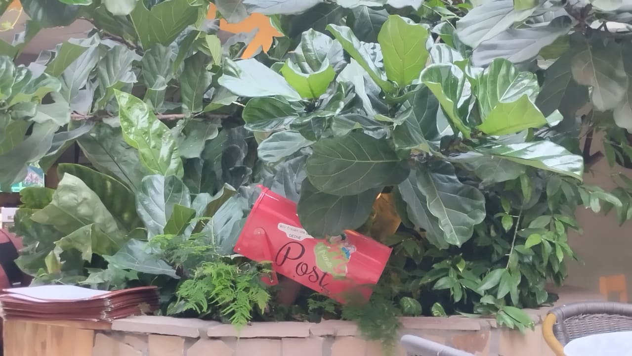 Gartenanlage Center Parcs Park Nordseeküste