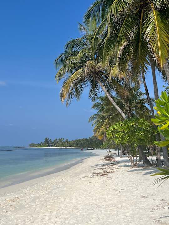 Strand Kuredu Island Resort & Spa