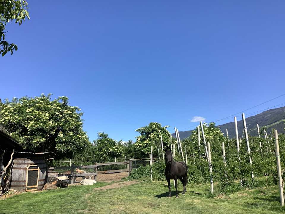 Gartenanlage Residence Sonja