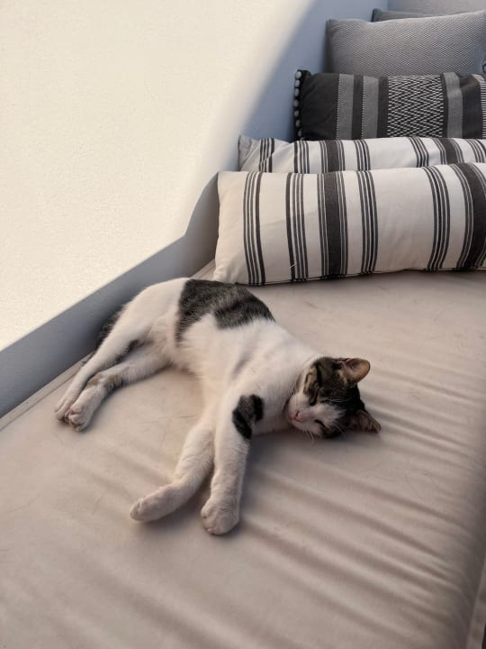 Außenansicht AVAL All Suite Hotel