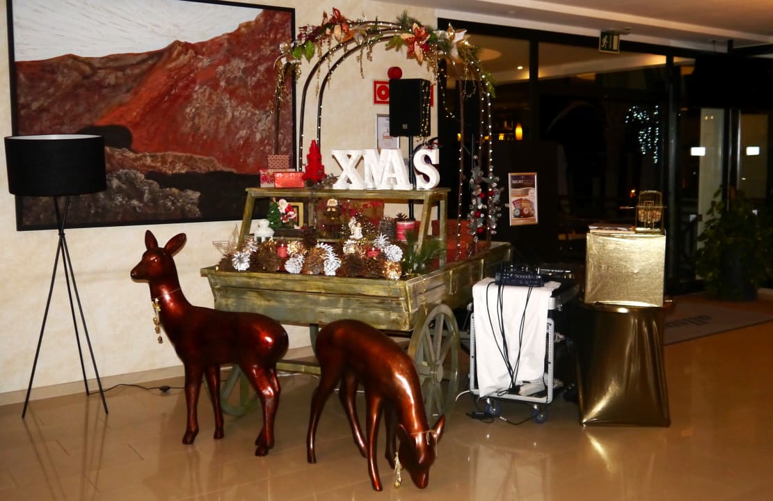 Lobby allsun App.-Hotel Albatros