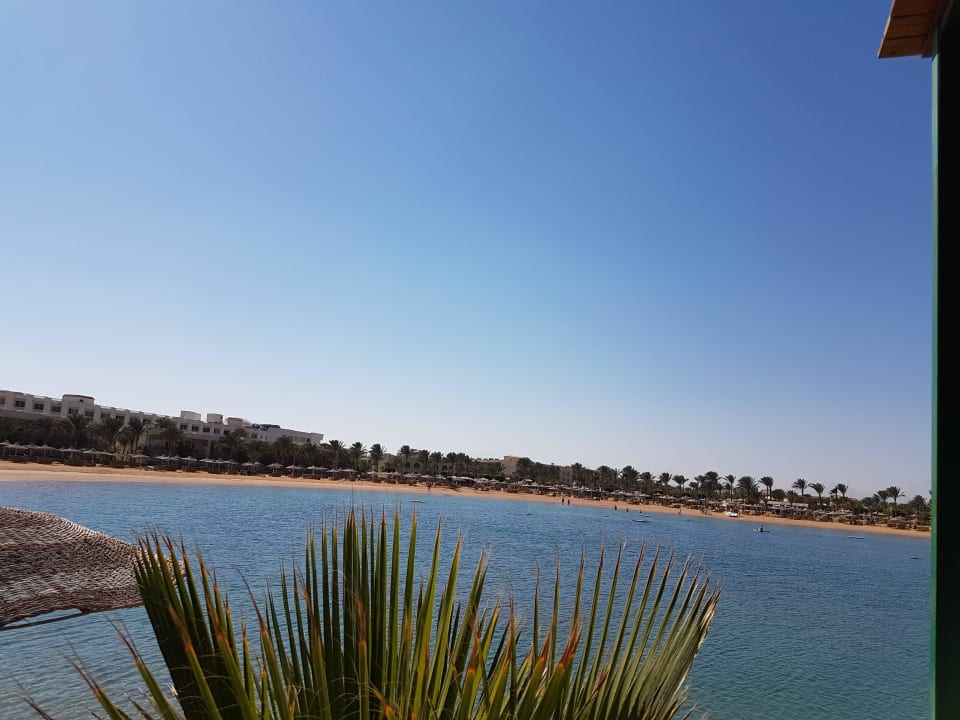 Desert Rose Resort Desert Rose