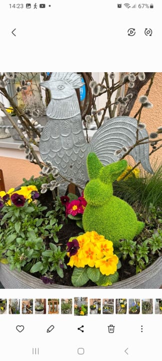 Gartenanlage Gästehaus Schulz