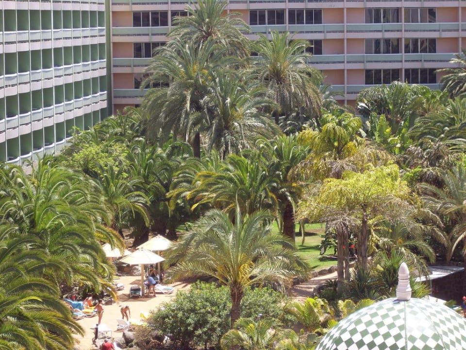 Blick aus dem Balkon Abora Buenaventura by Lopesan Hotels