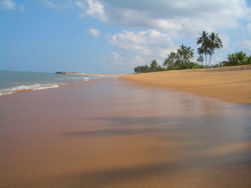 Strand des Hotels Club Hotel Dolphin