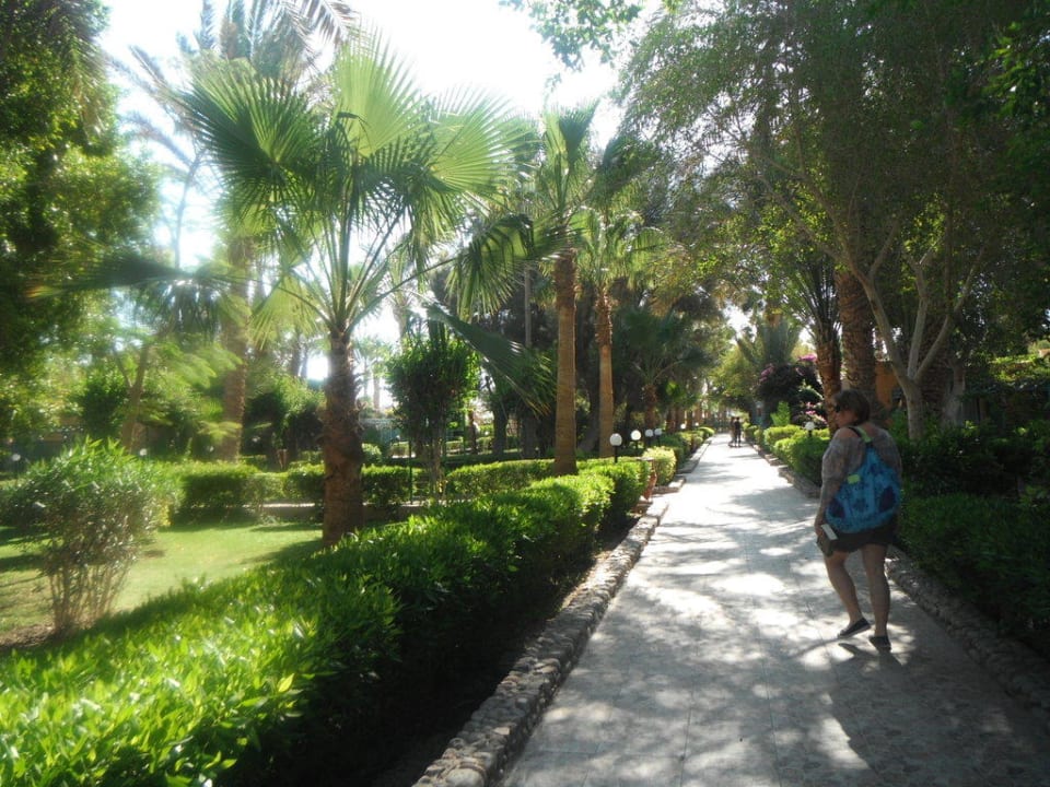 Grünanlage Giftun Azur Resort