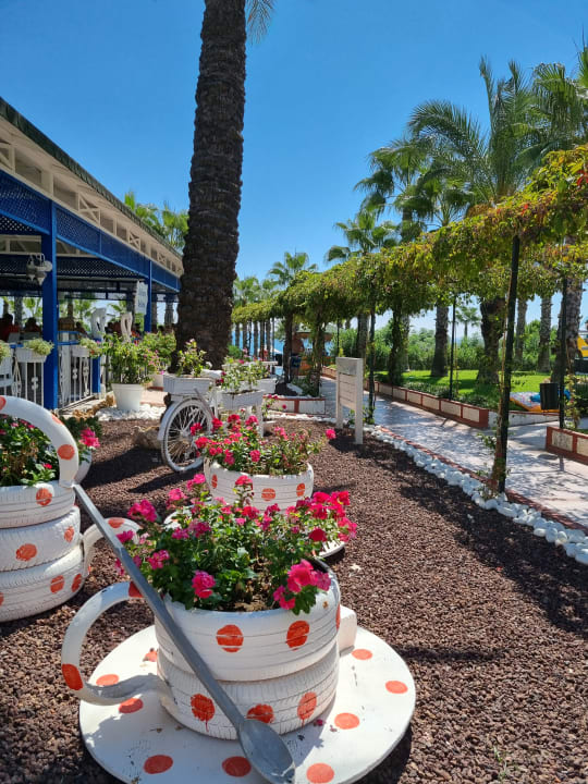 Gartenanlage Hotel Turan Prince