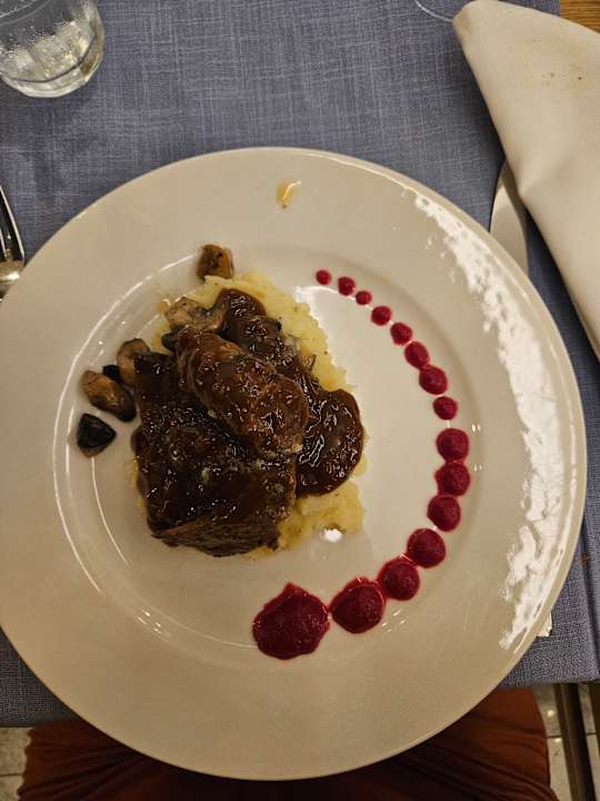 Gastro Seashell Vega