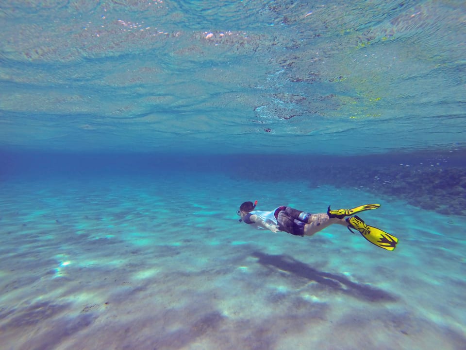 Schnorcheln am Hausriff Stella Beach Resort & Spa Makadi Bay