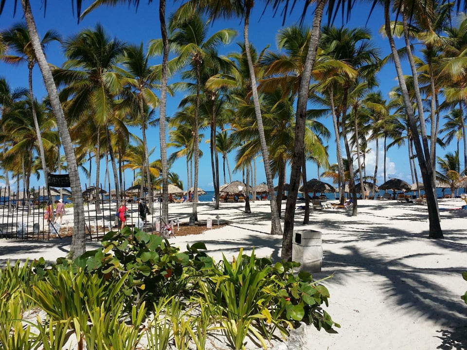 Blick vom Strandresta auf "normalen" Strandbereich Catalonia Royal Bavaro - Adults only