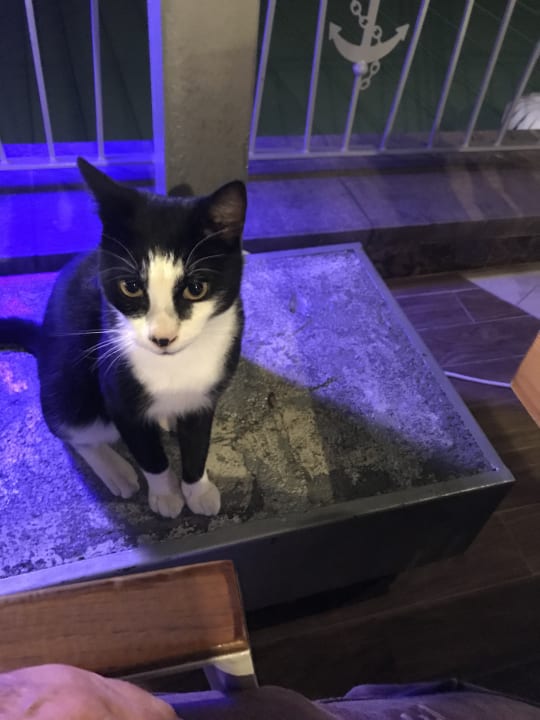 Sonstiges Elite Luxury Suite & Spa