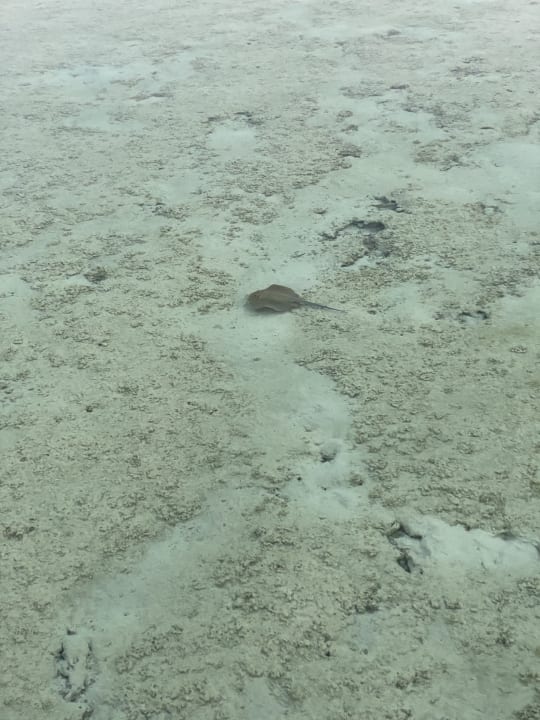 Strand Casa Mare Resort