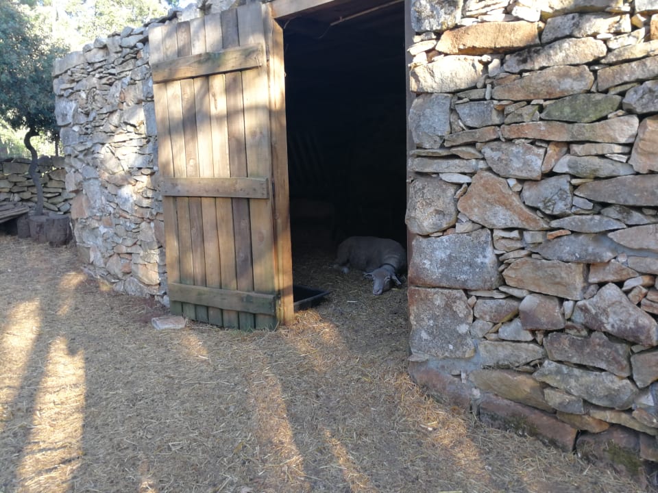Gartenanlage Luz Houses