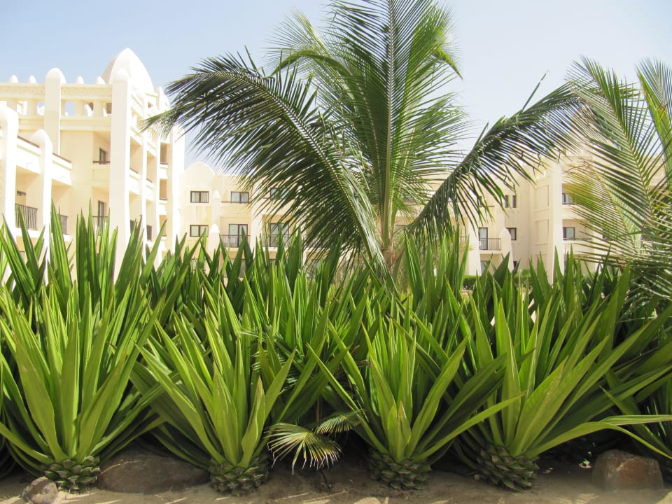 Clubhotel RIU Karamboa Hotel Riu Karamboa