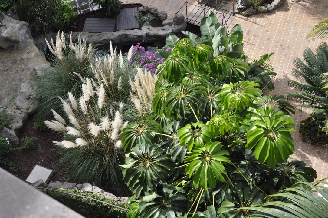 Am Pool Hotel Cordial Mogán Playa