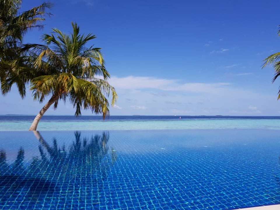 Pool Vilamendhoo Island Resort & Spa