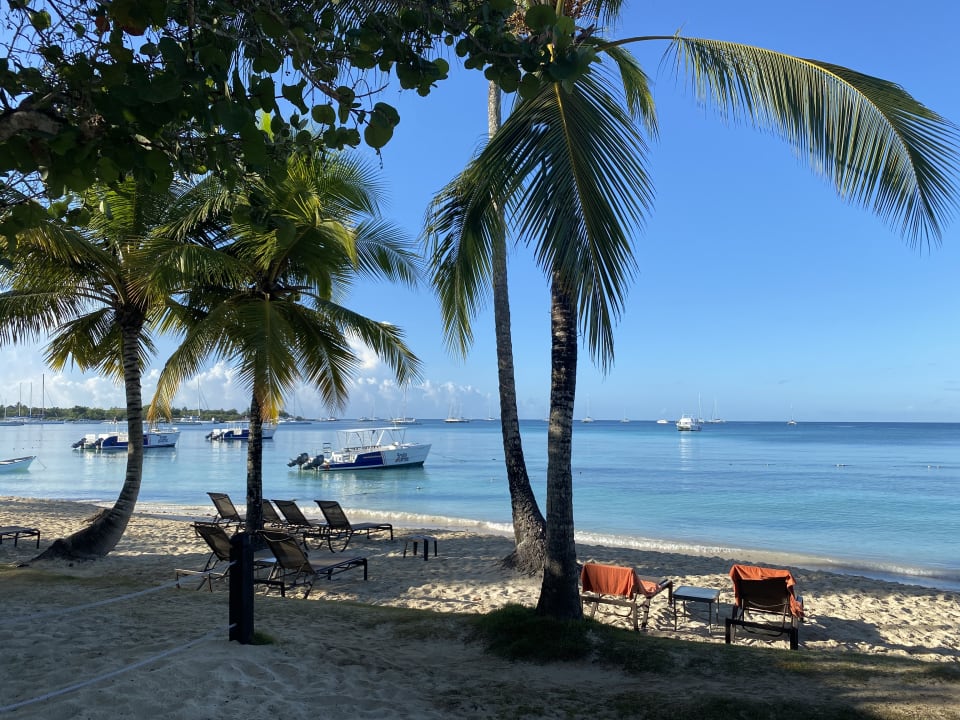 Strand Secrets La Romana Resort & Spa - Adult Only