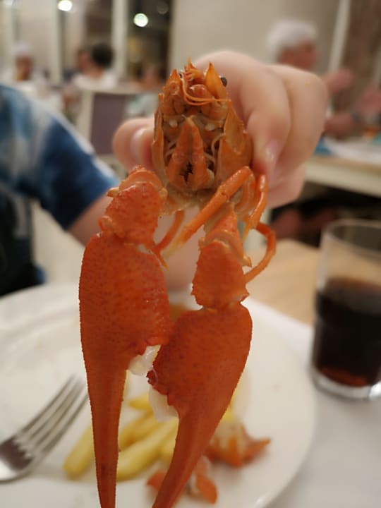 Gastro Well Palace Side