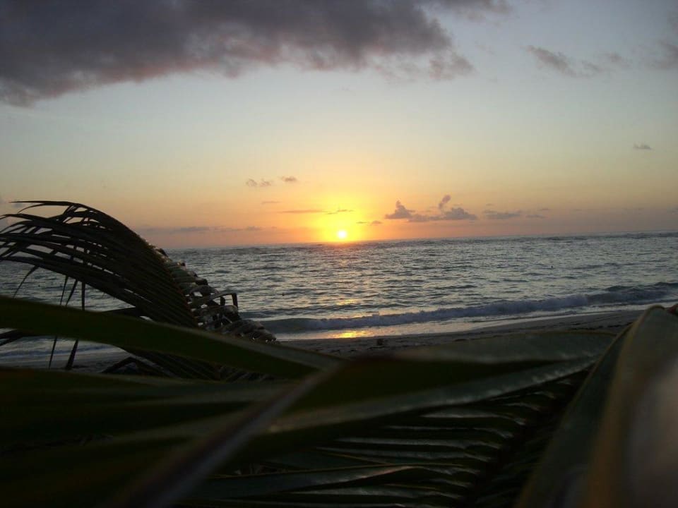 Sonnenaufgang Hotel Riu Palace Punta Cana
