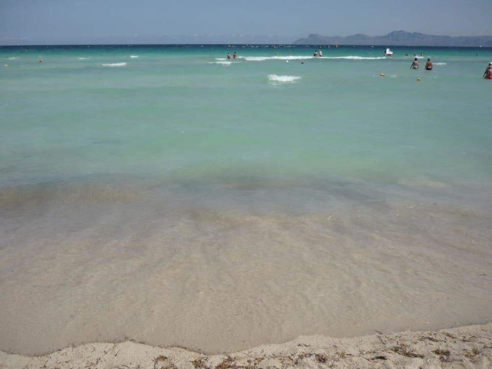 Traumstrand allsun Hotel Eden Alcudia