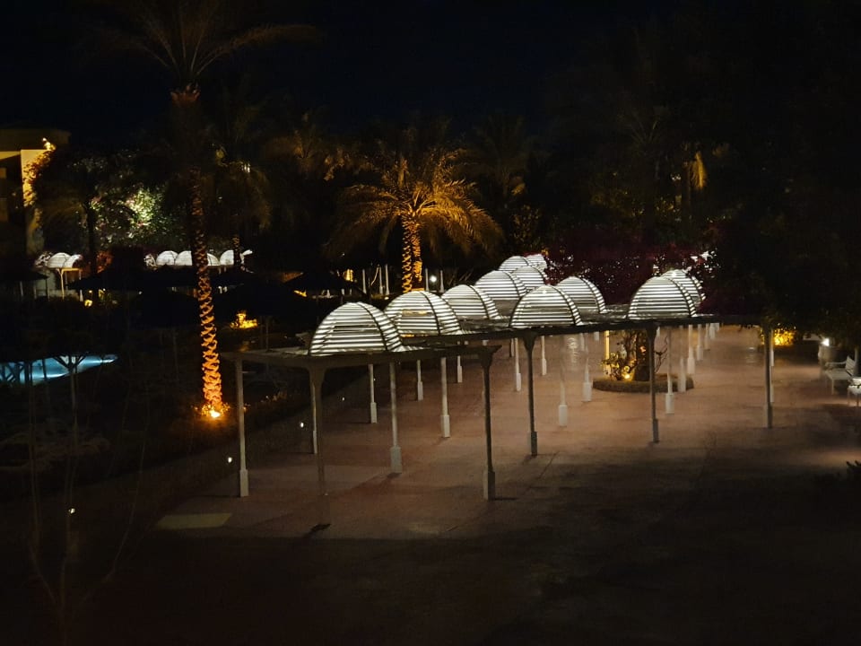 Gartenanlage Desert Rose