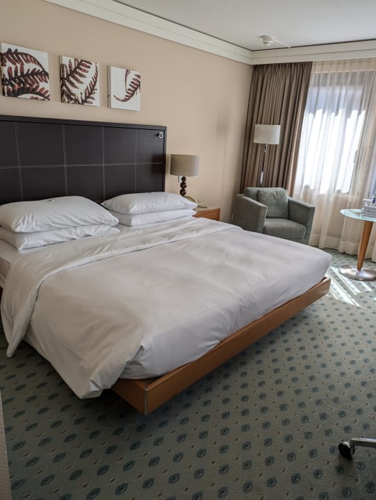 Zimmer Hilton Dresden